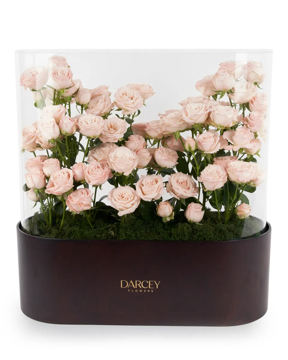 ACRYLIC BOX 3 ACRYLIC BOX 3