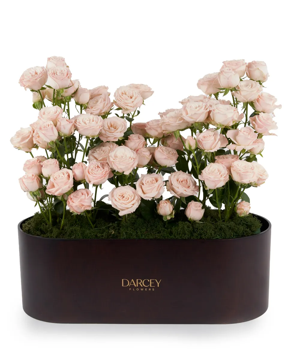 ACRYLIC BOX 3 1 ACRYLIC BOX 3 1