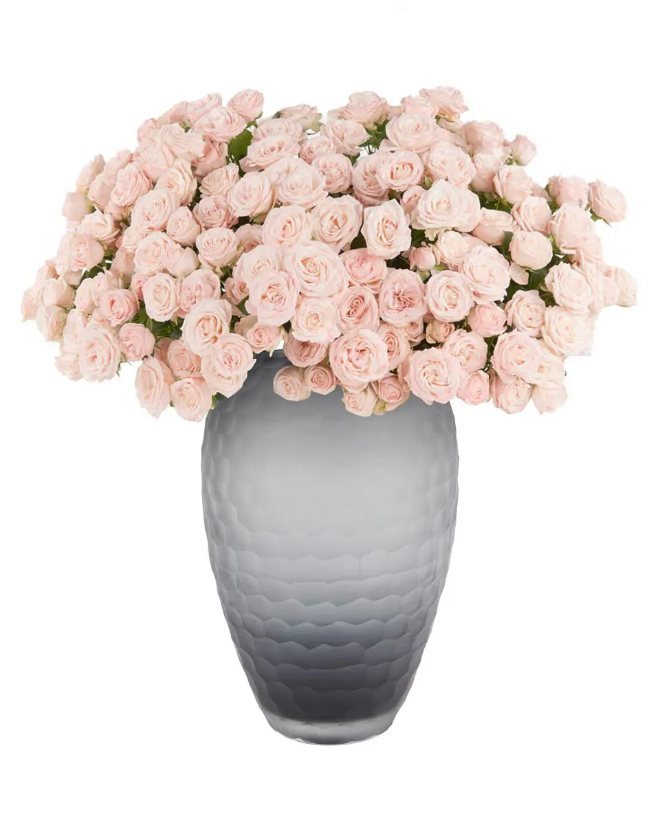 BLUSHING BEAUTY 29 Oct 2024 BLUSHING BEAUTY 29 Oct 2024