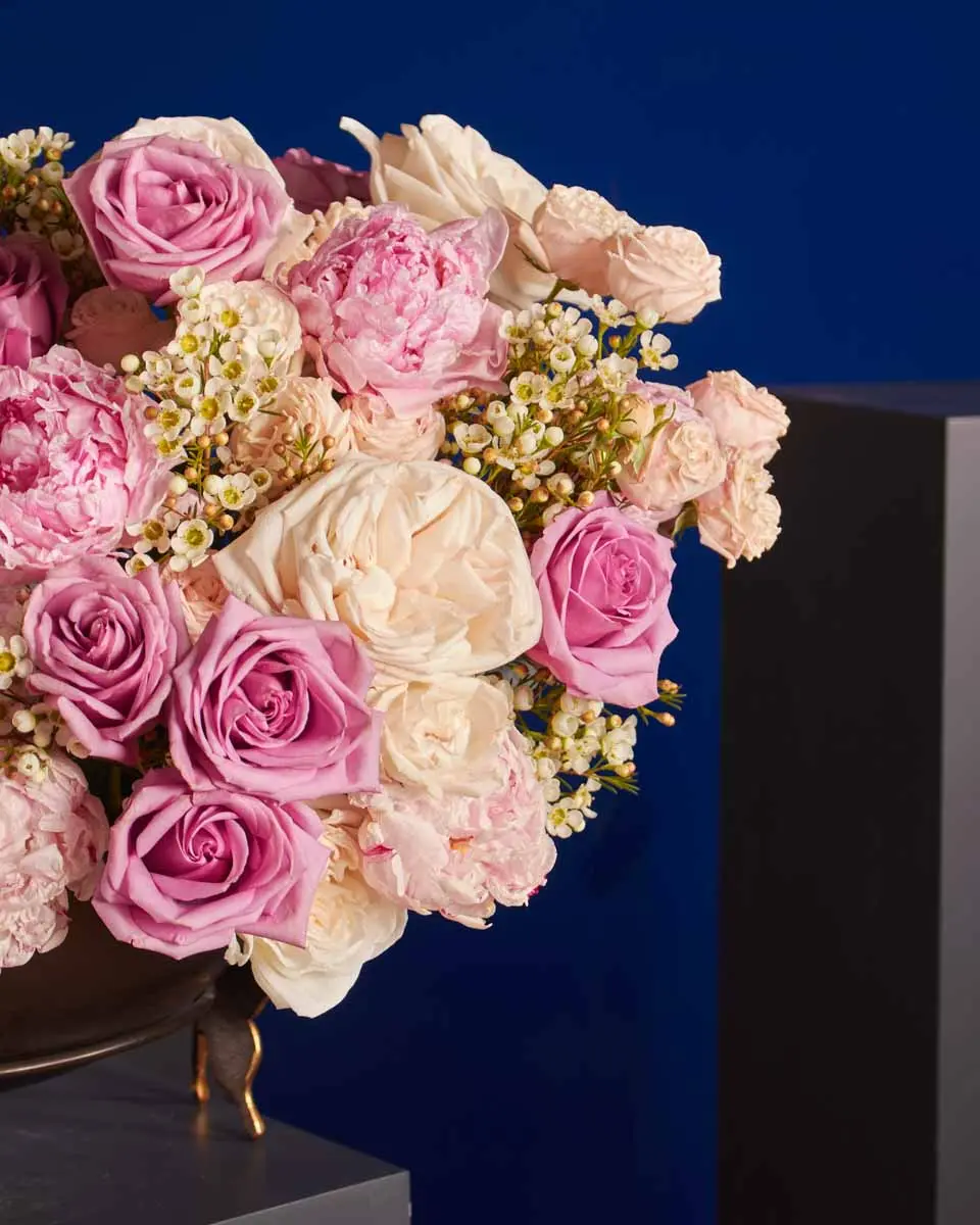 BUTTERFLY KISS 1 1 BUTTERFLY KISS 1 1