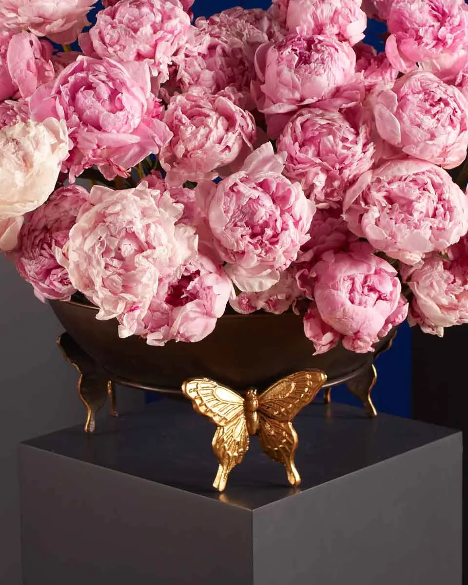 BUTTERFLY KISS 1 BUTTERFLY KISS 1