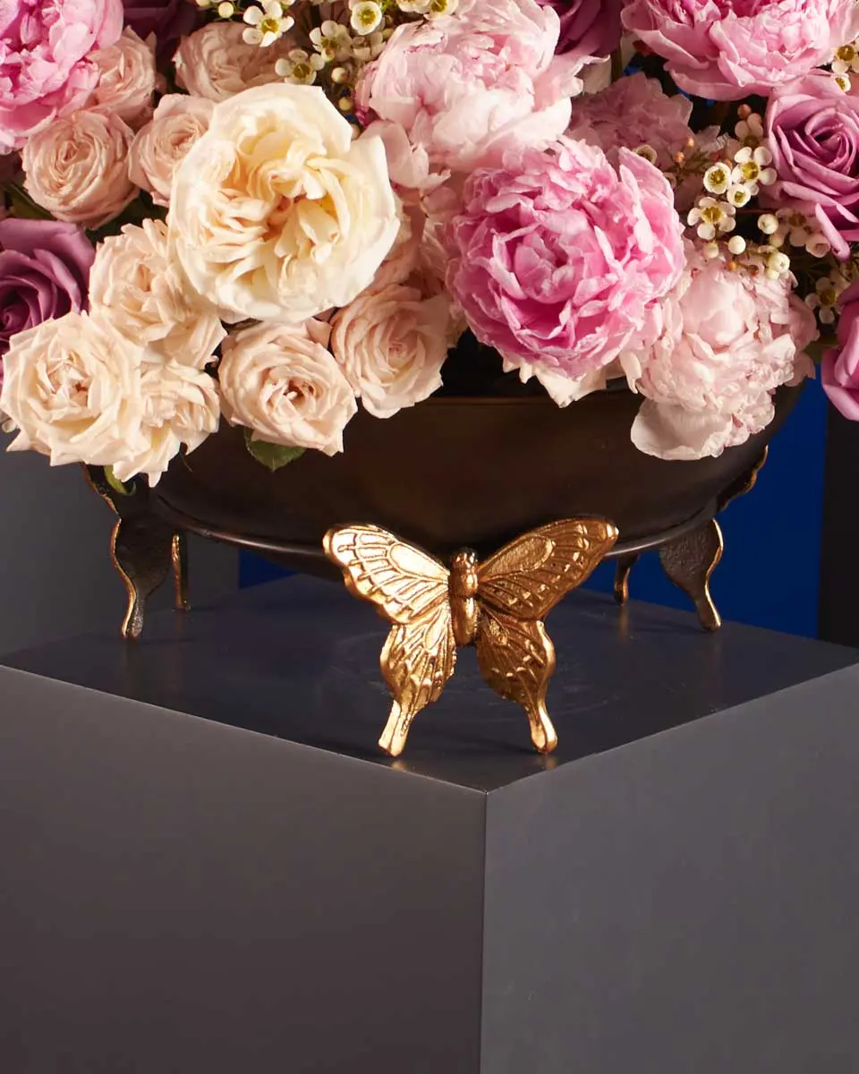 BUTTERFLY KISS 3 1 BUTTERFLY KISS 3 1