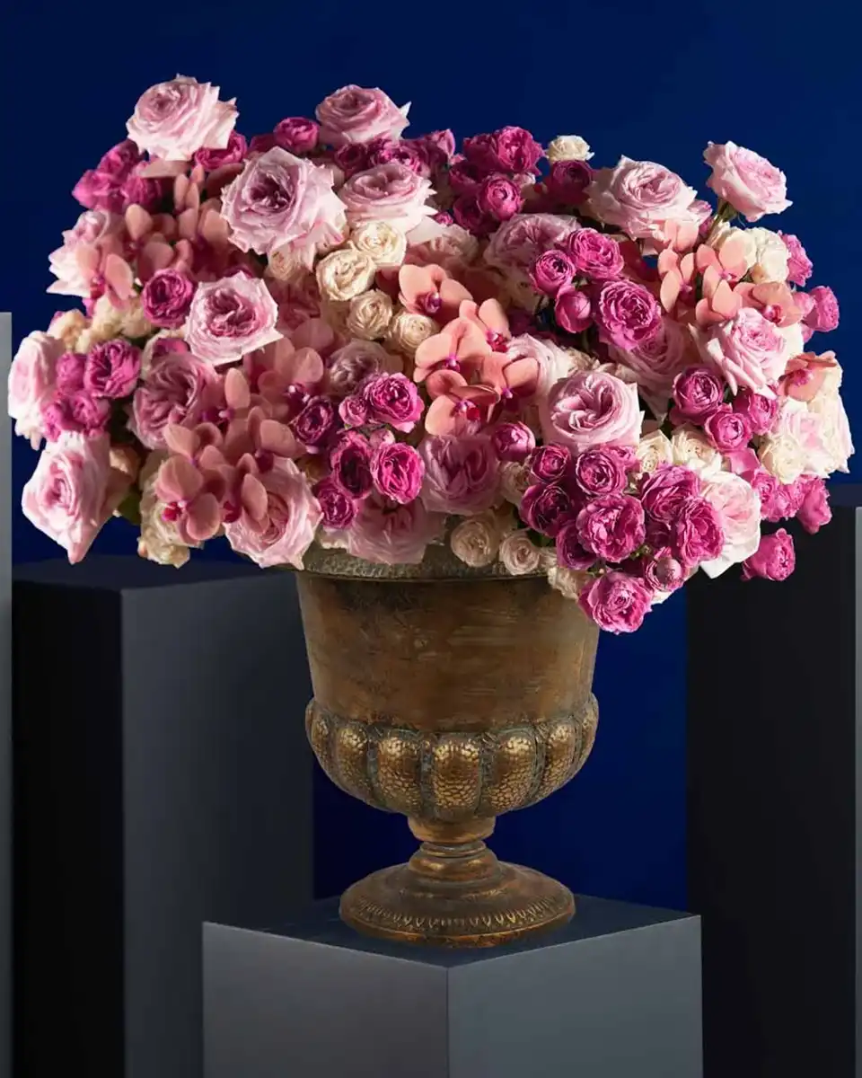 DARCEY CHOICE Edited 11Sep DARCEY CHOICE Edited 11Sep