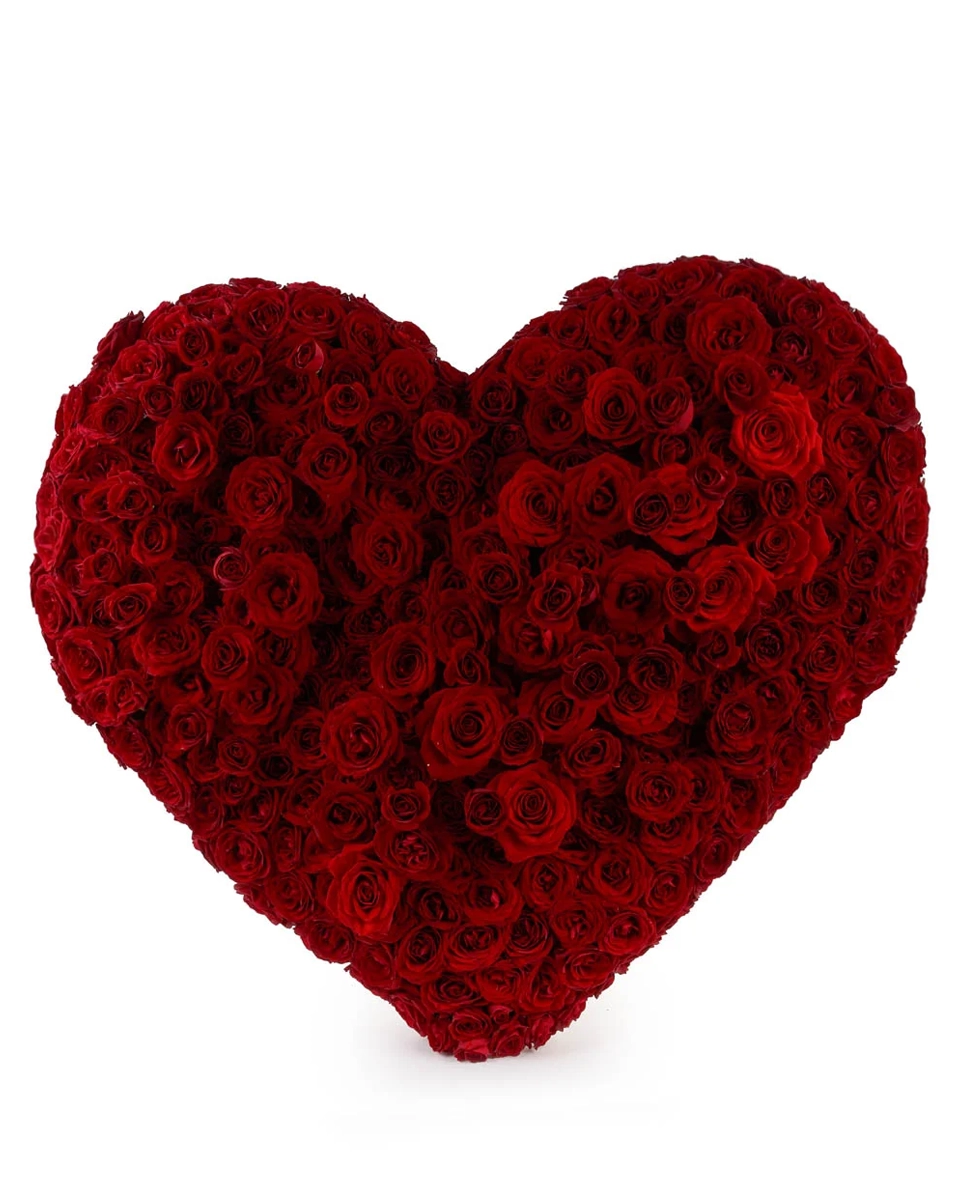 Hearbeat Front Updated Hearbeat Front Updated