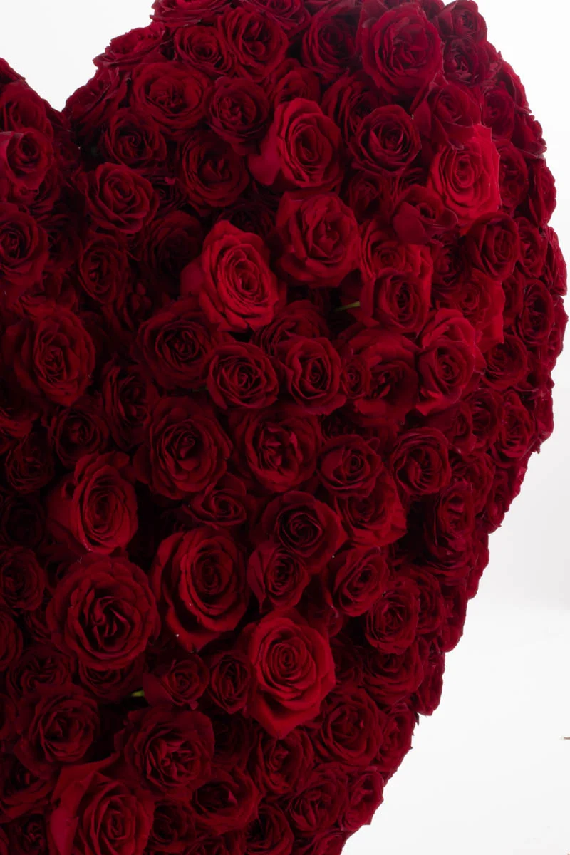 Hearbeat HEART Hearbeat HEART