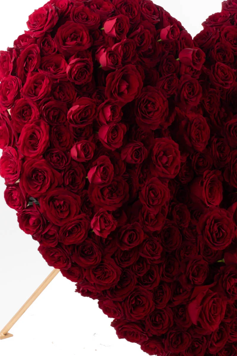 Hearbeat HEART 2 Hearbeat HEART 2