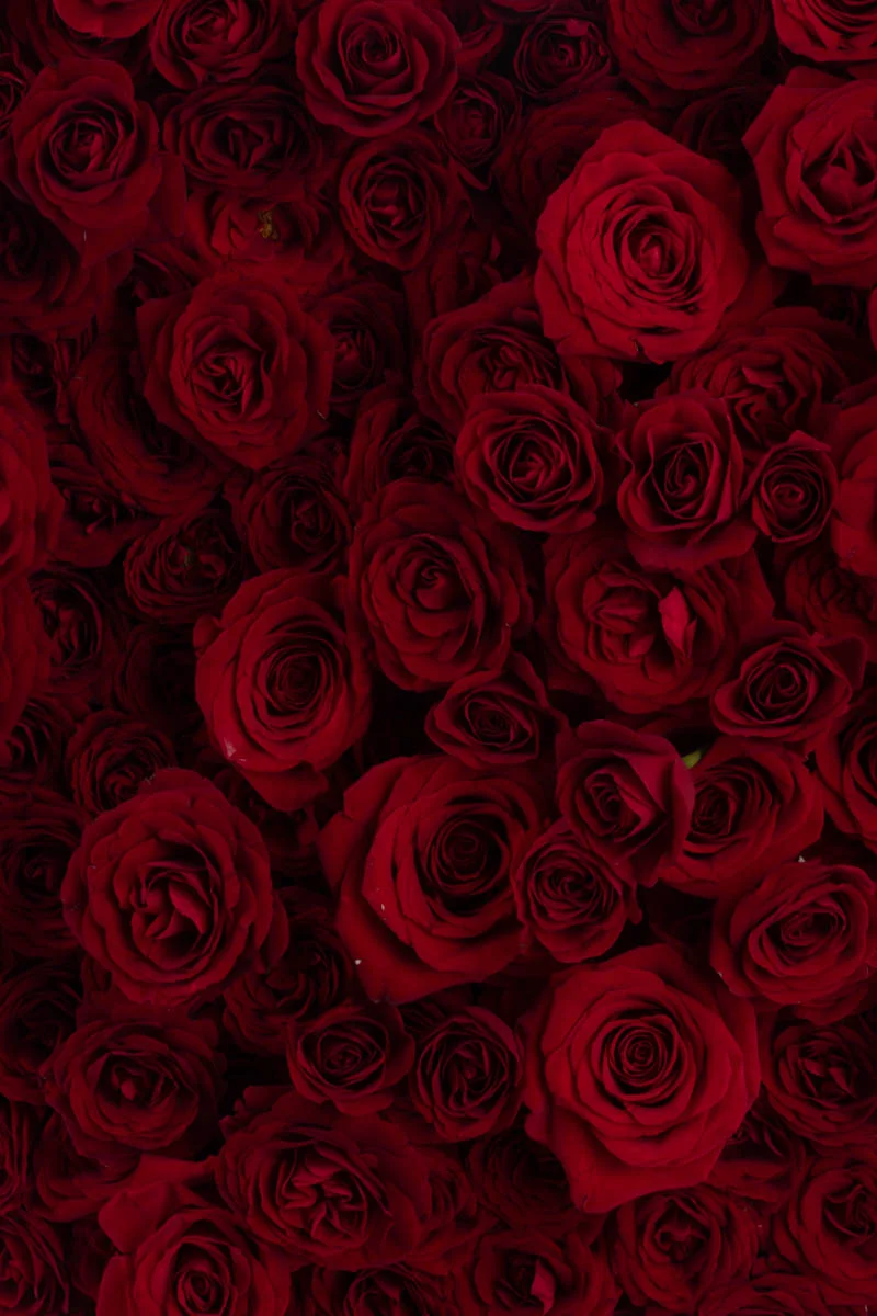 Hearbeat HEART 3 copy Hearbeat HEART 3 copy