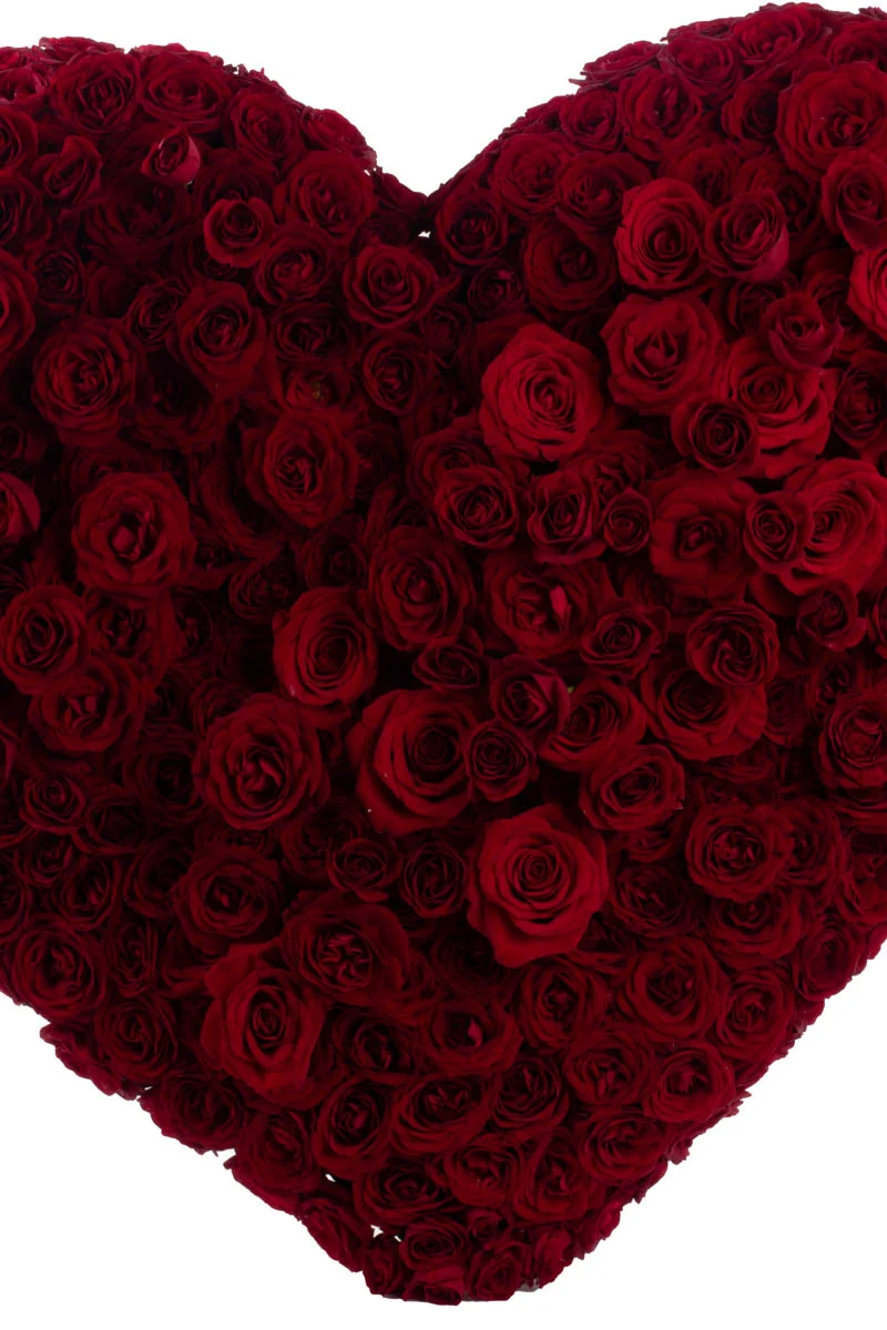 Hearbeat HEART 4 Hearbeat HEART 4