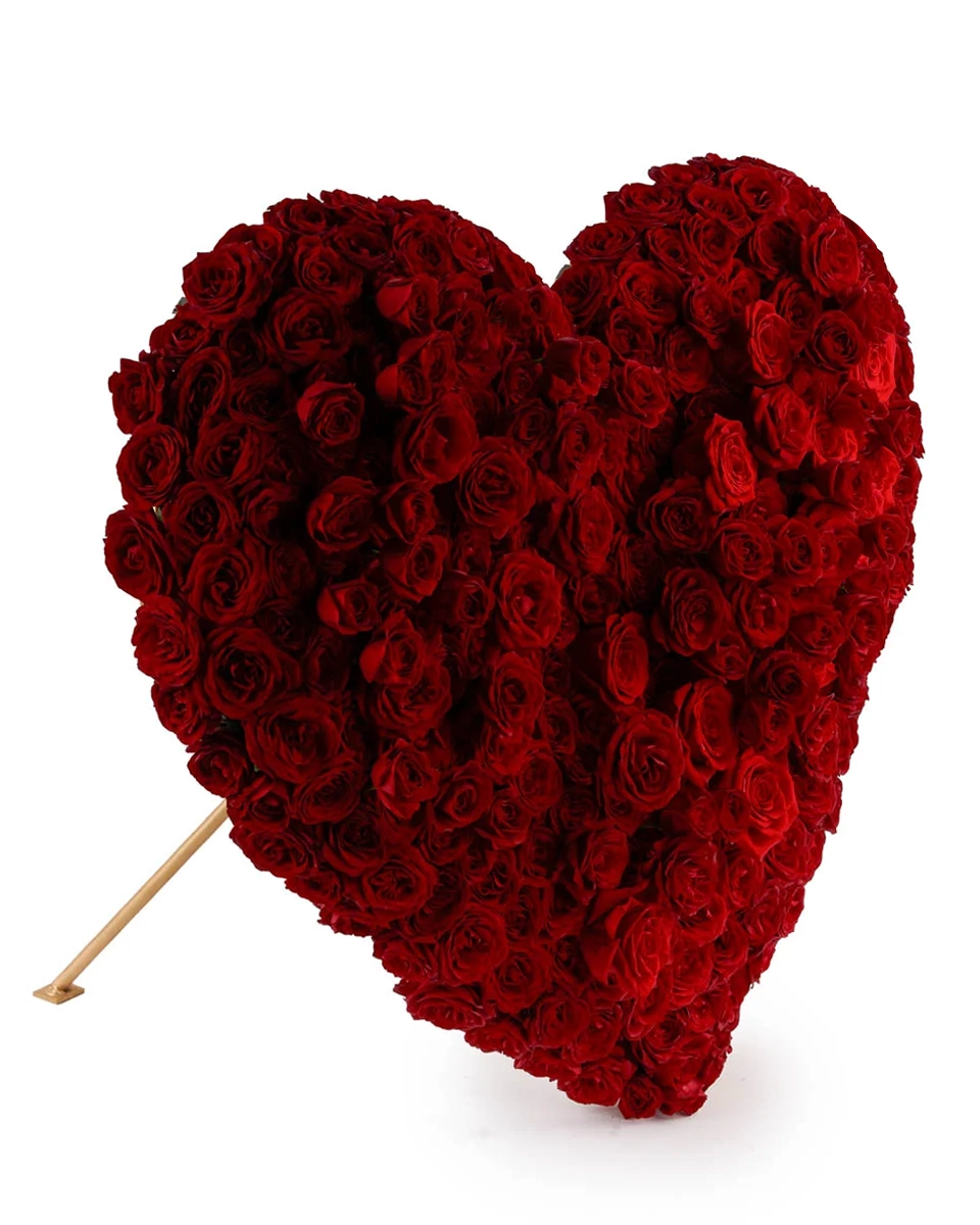 Hearbeat Updated Hearbeat Updated