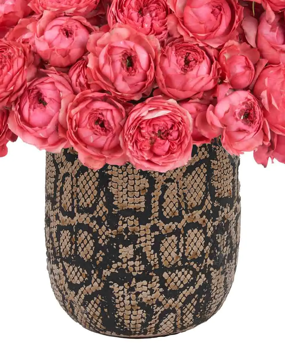 Hello Raspberry Feb 21, 2025 Details 2 Hello Raspberry Feb 21, 2025 Details 2