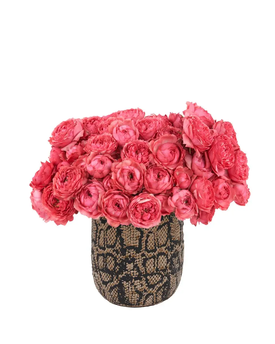 Hello Raspberry Feb 21, 2025 Hello Raspberry Feb 21, 2025