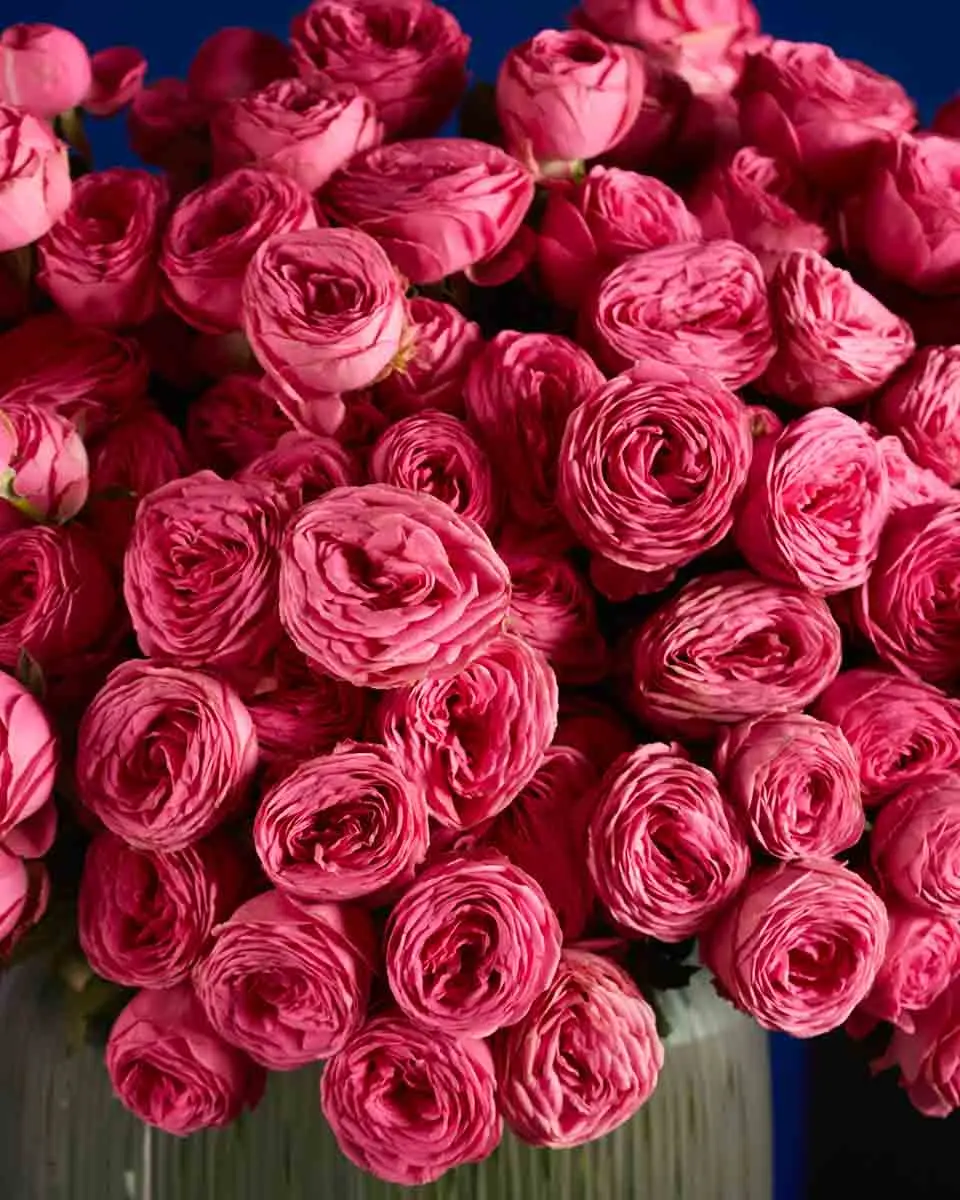 IM YOURS 3 IM YOURS 3