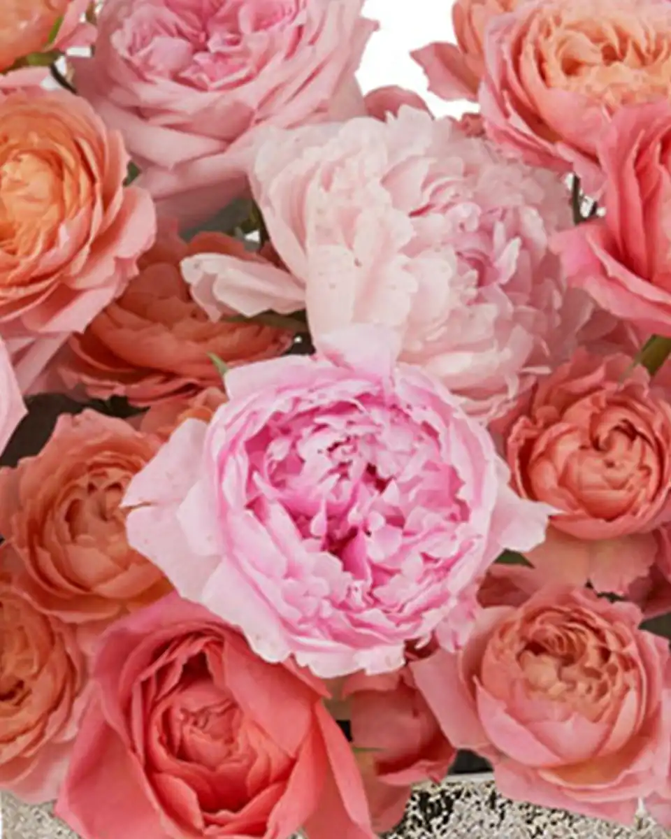 Just Beautiful! May 16, 2025 1 Just Beautiful! May 16, 2025 1