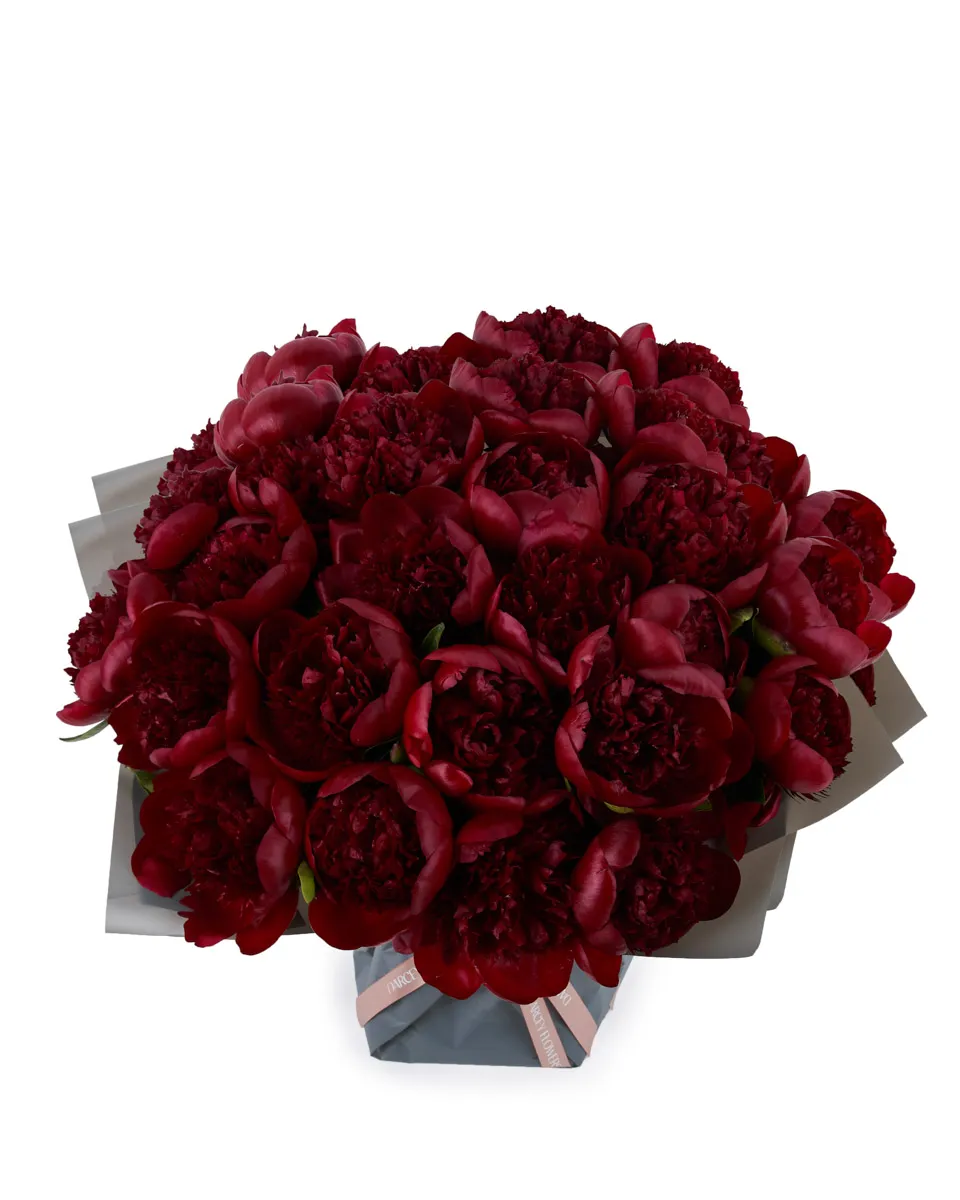 MADELAINE FRONT SUPERB MADELAINE FRONT SUPERB