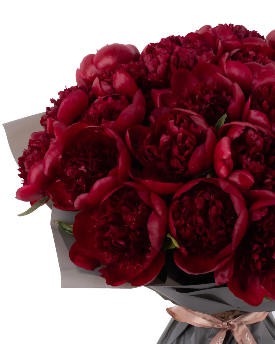 MADELAINE LEFT DETAILS SUPERB MADELAINE LEFT DETAILS SUPERB