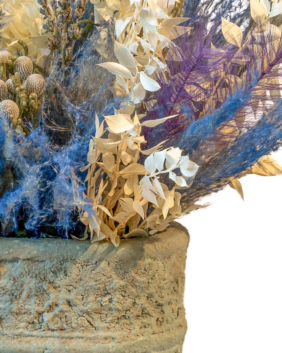 Make A Wish Re Shoot2 2026 Make A Wish Re Shoot2 2026