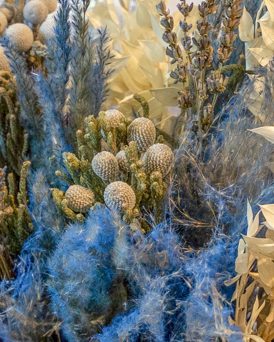 Make A Wish Re Shoot3 2026 Make A Wish Re Shoot3 2026