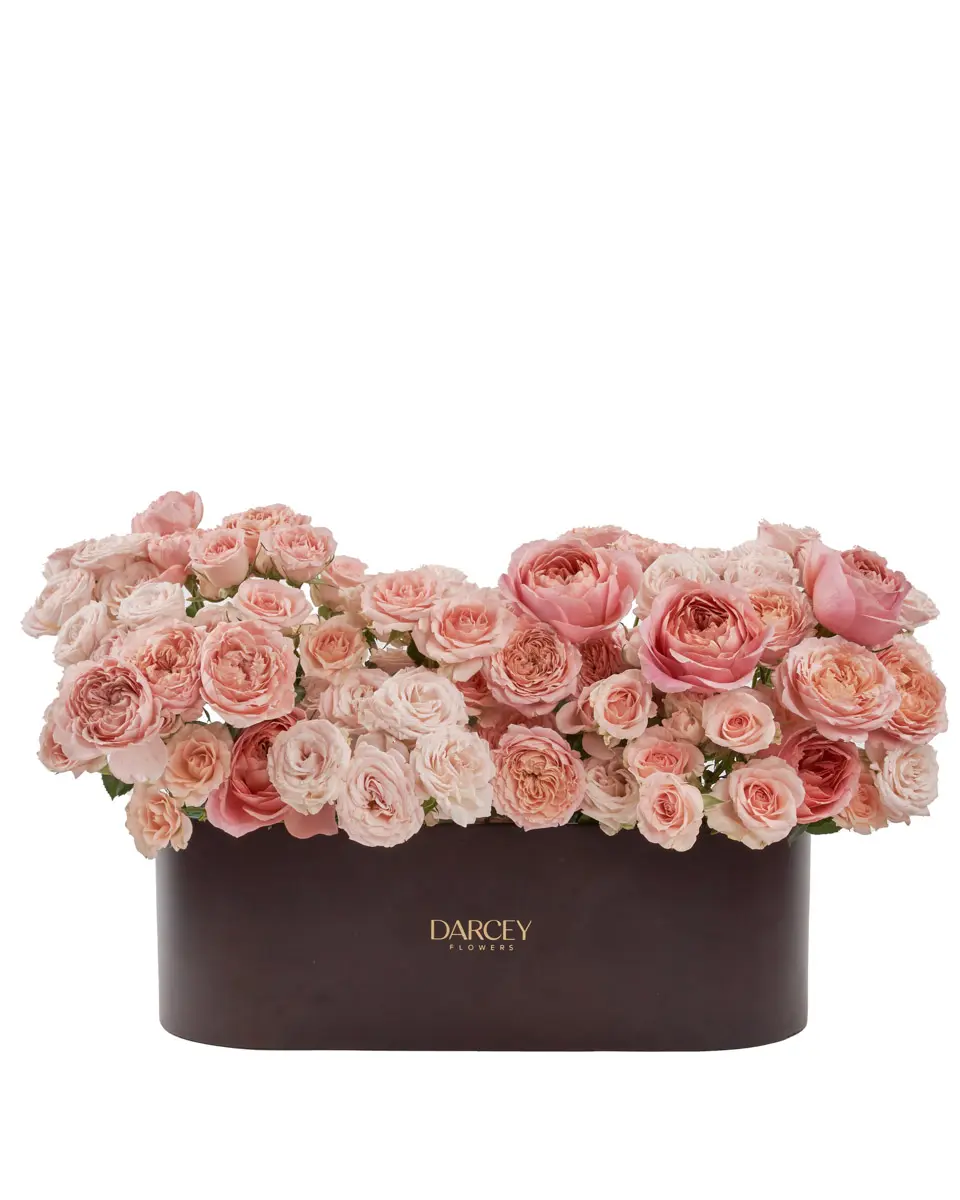 Promise of Joy Promise of Joy