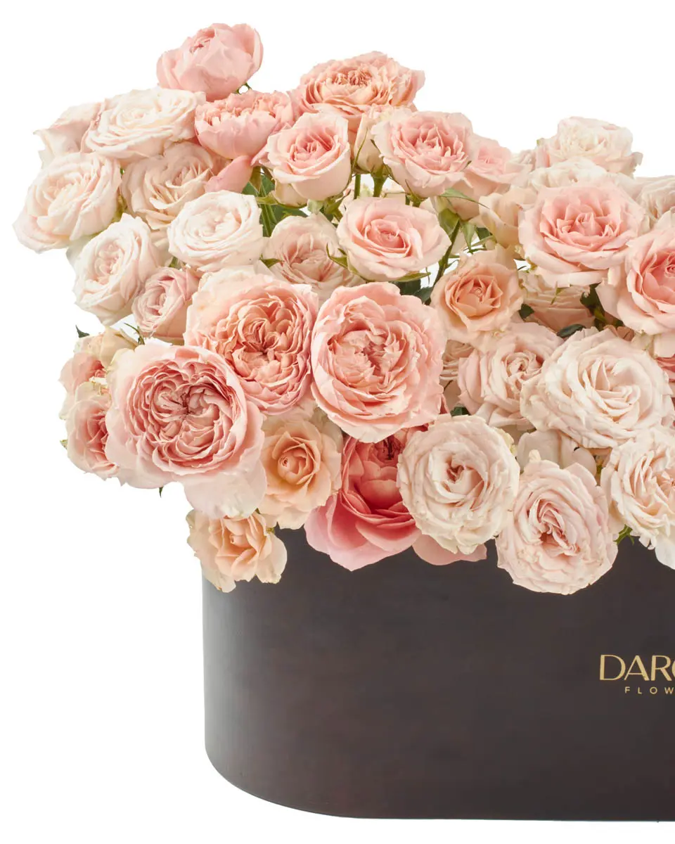 Promise of JoyEID 6IMG 2277 Promise of JoyEID 6IMG 2277