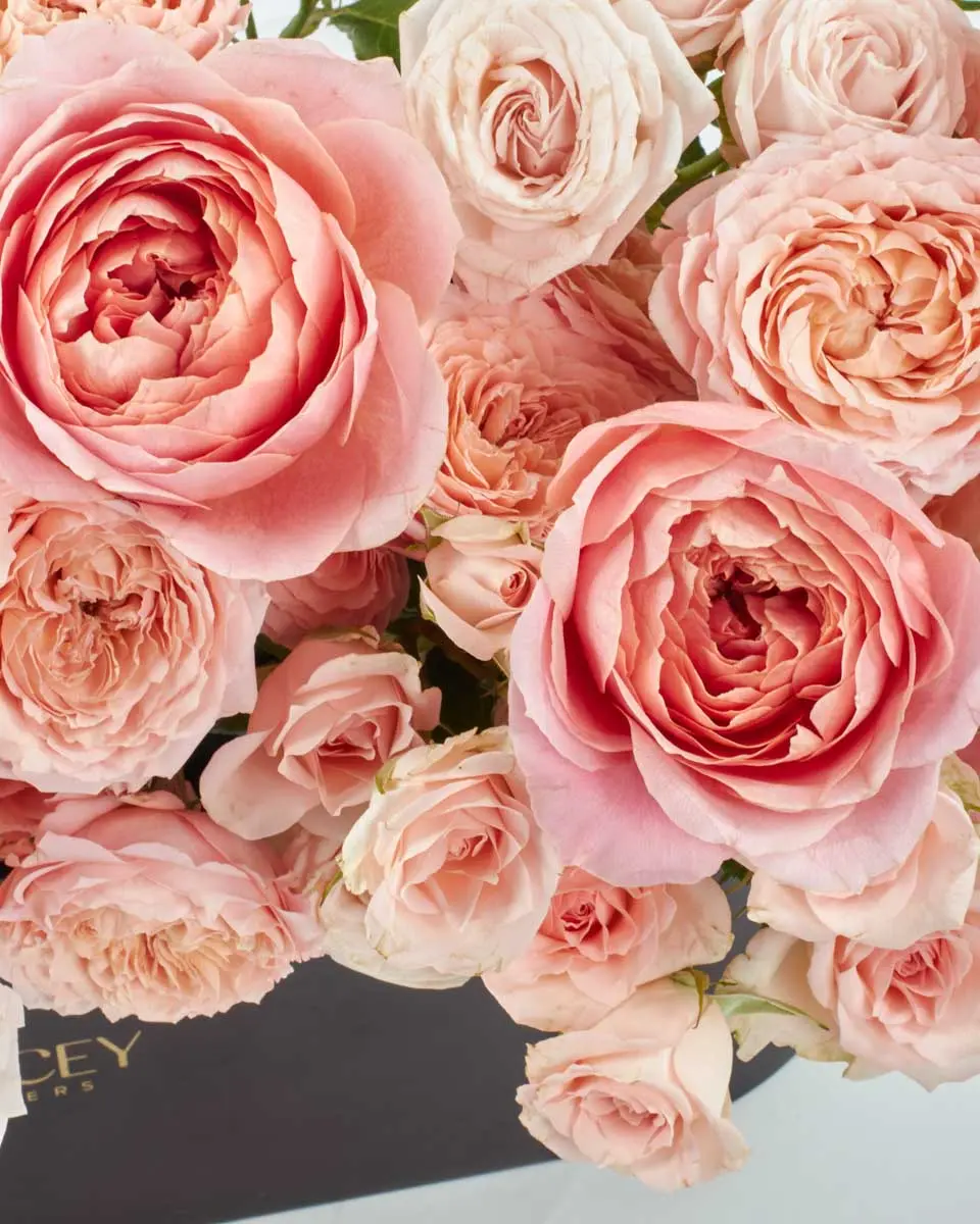 Promise of JoyEID Video Promise of JoyEID Video