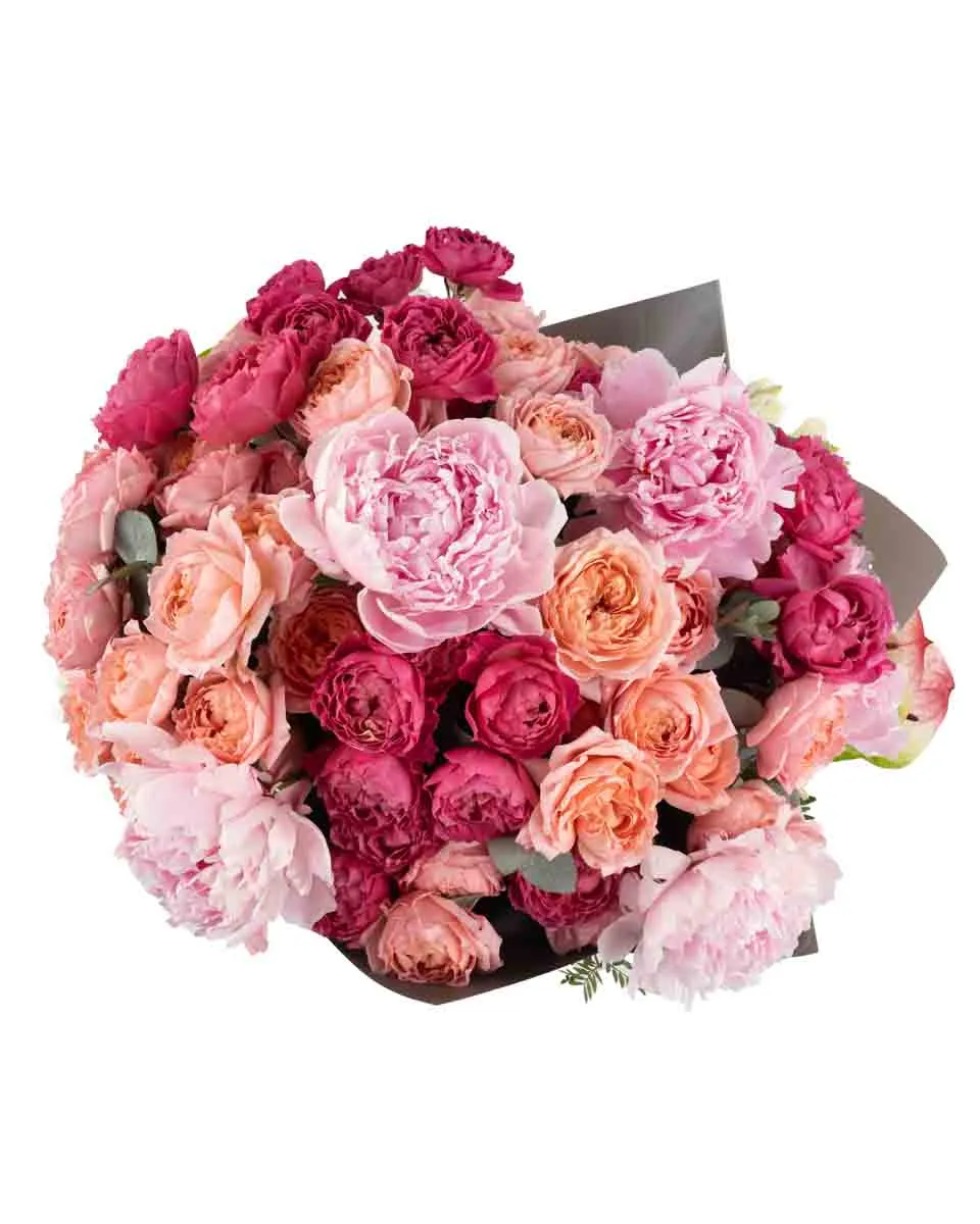 TRIPLE BEAUTY SUPERB JUNE 7 2024 top TRIPLE BEAUTY SUPERB JUNE 7 2024 top