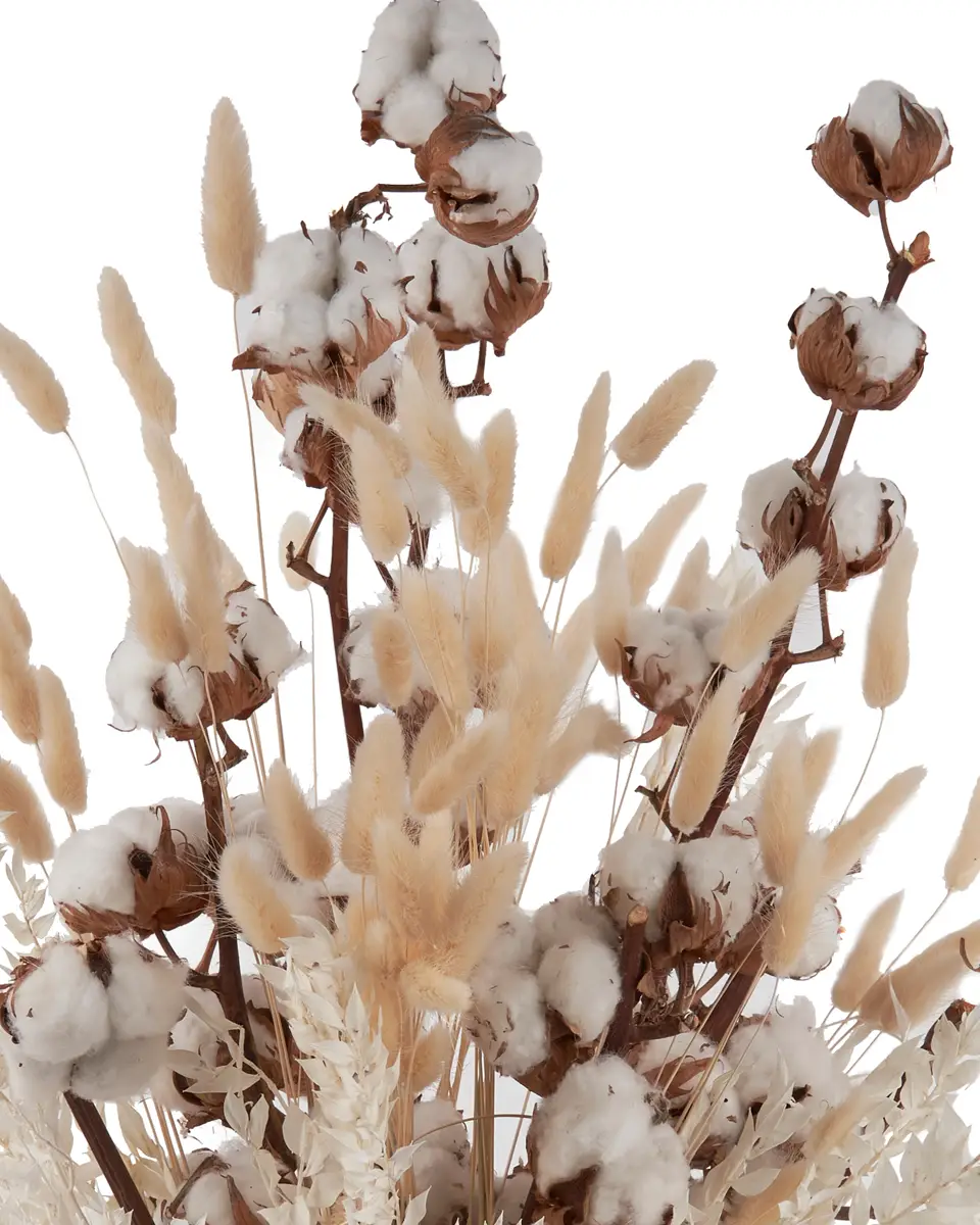 Warmth Cuddle Side2 17 May 2024 copy.jpg Warmth Cuddle Side2 17 May 2024 copy.jpg