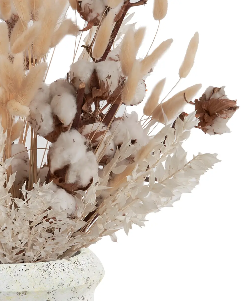 Warmth Cuddle Side 17 May 2024 Warmth Cuddle Side 17 May 2024