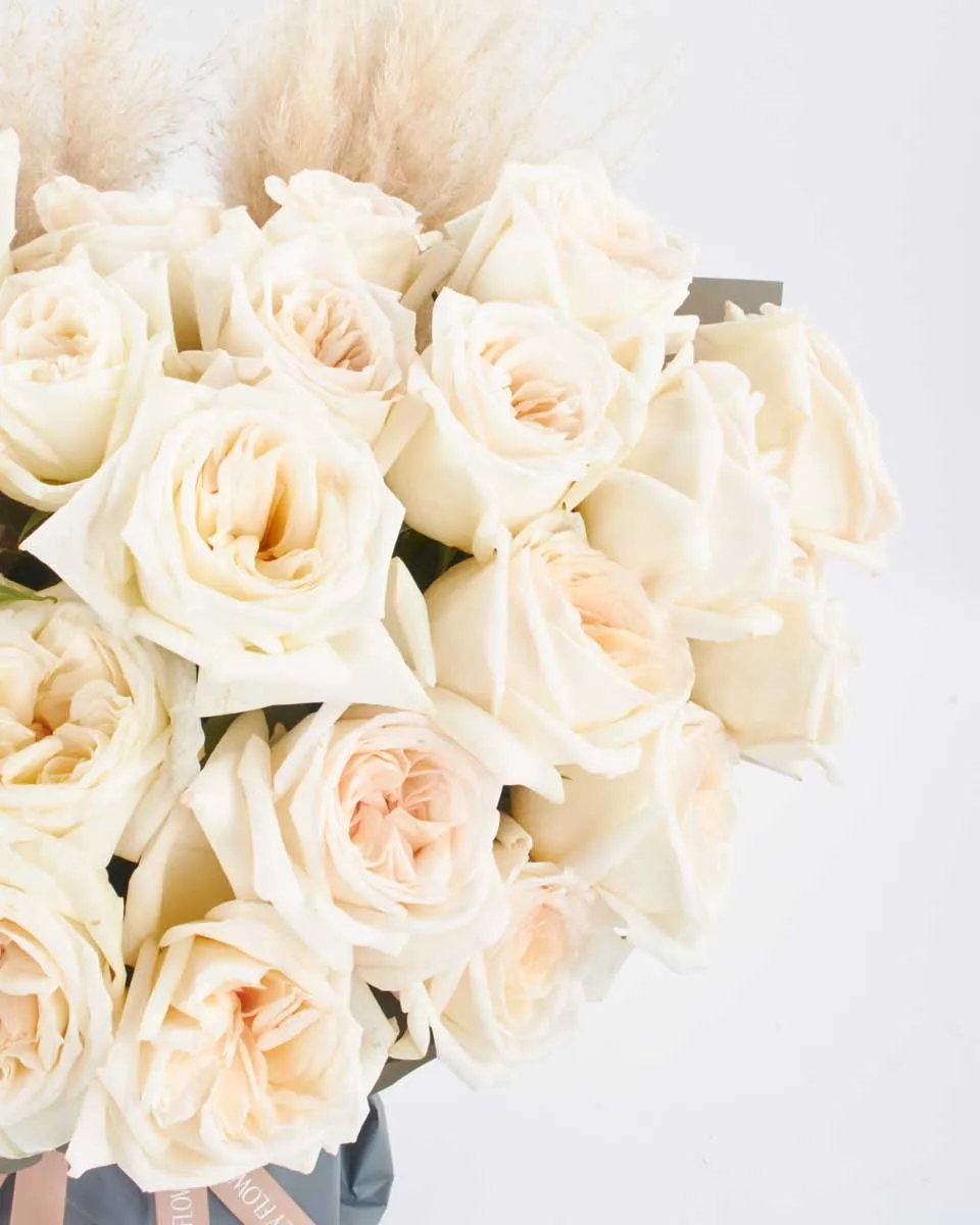 White O hara superb JUNE 21 2023 2 White O hara superb JUNE 21 2023 2