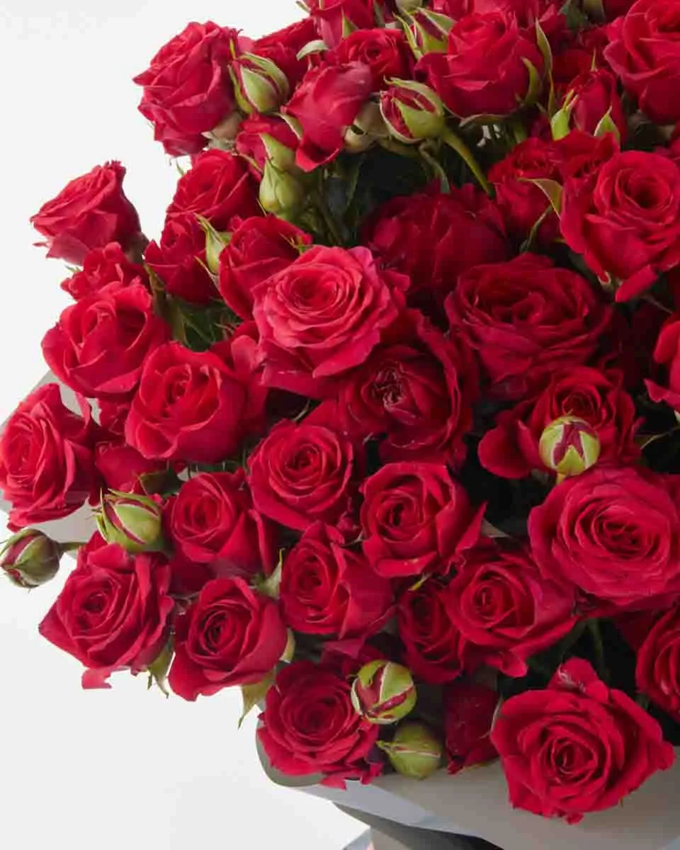 ruby red impressive JUNE 14 2023 2 ruby red impressive JUNE 14 2023 2