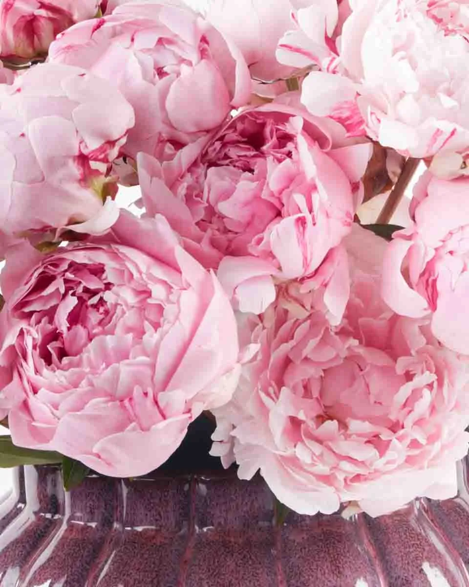 perfect for you 1 1 perfect for you 1 1