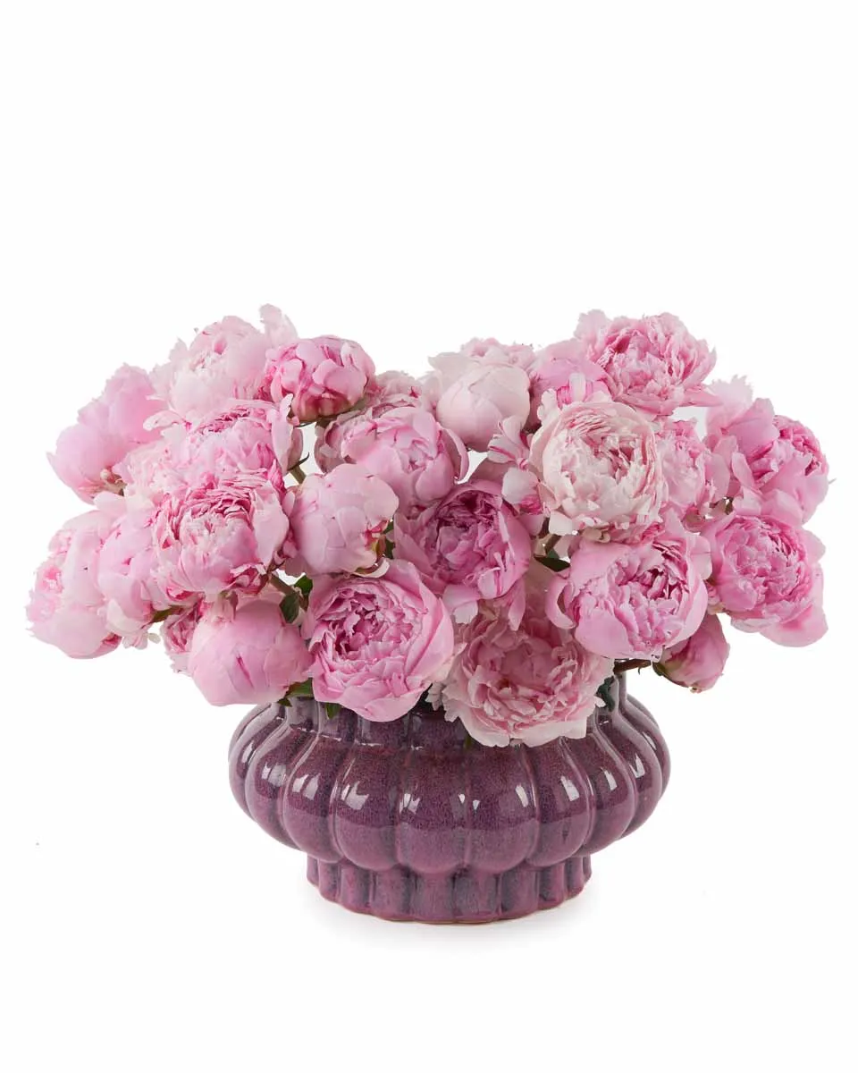 perfect for you 1 perfect for you 1