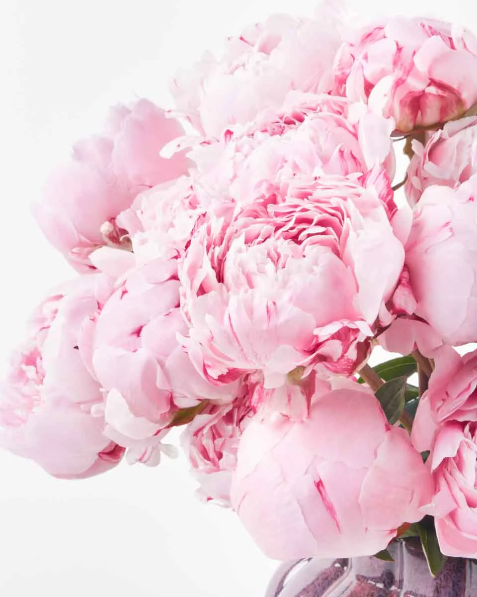 perfect for you 4 perfect for you 4