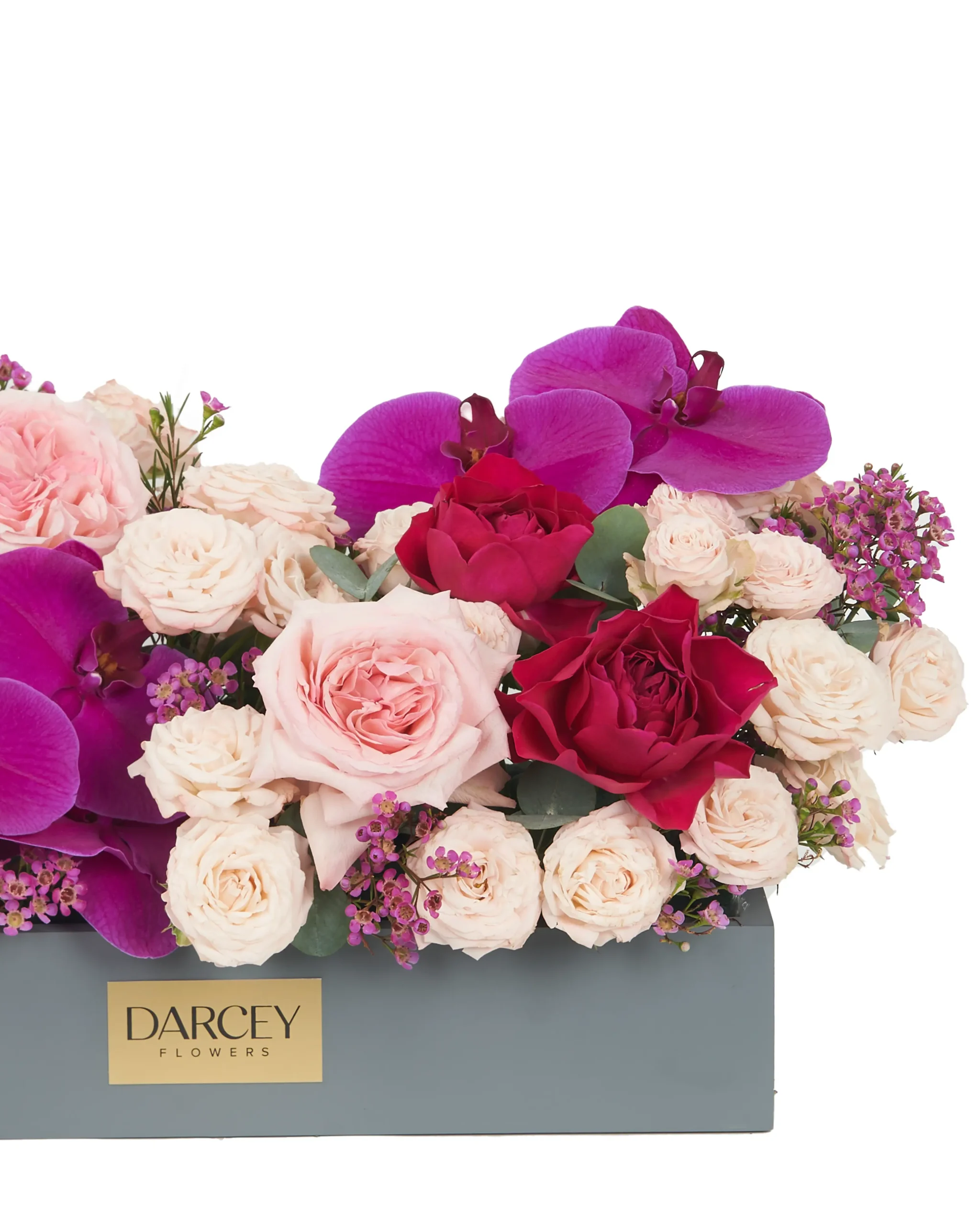 MAGICAL KISS 3 2 2024 scaled MAGICAL KISS 3 2 2024 scaled