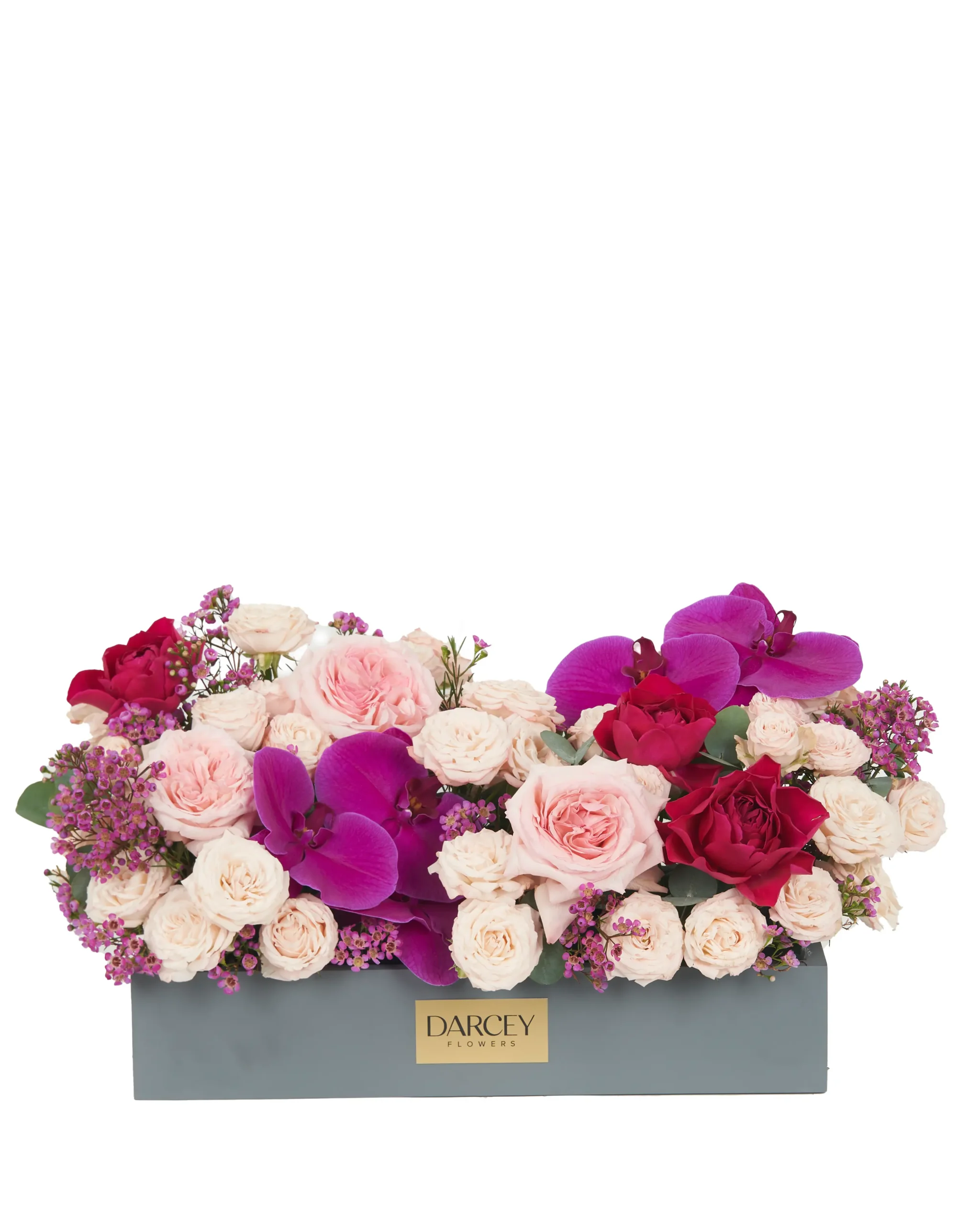 MAGICAL KISS reshoot 2024 scaled MAGICAL KISS reshoot 2024 scaled