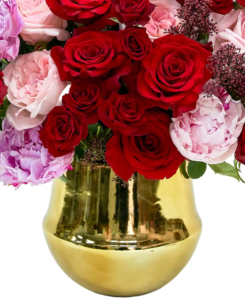 DREAMING OF YOU RESHOOT Details DREAMING OF YOU RESHOOT Details