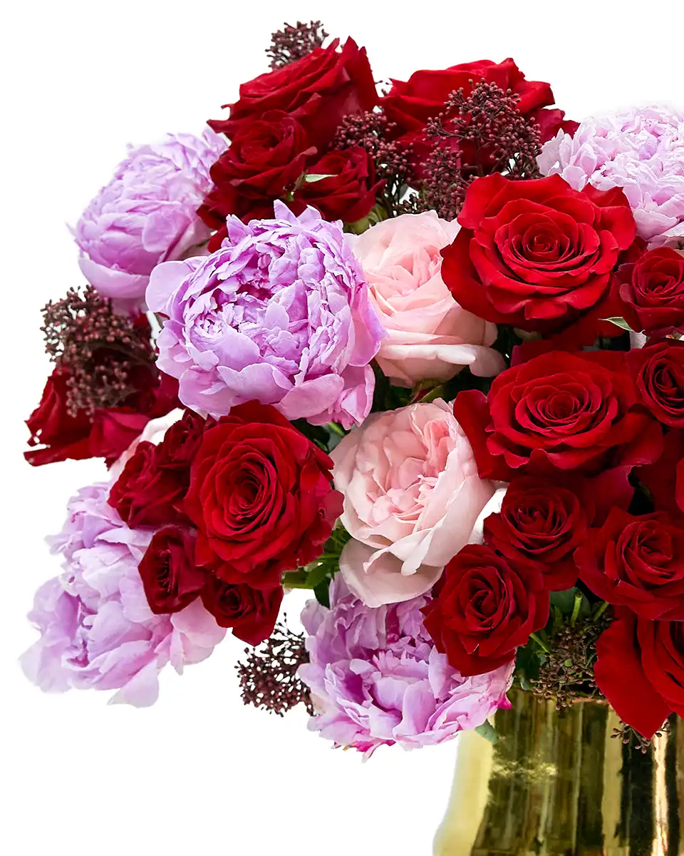 DREAMING OF YOU RESHOOT Details3 DREAMING OF YOU RESHOOT Details3