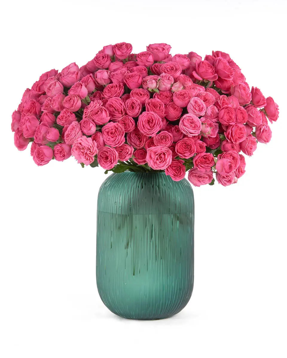 IM YOURS JUNE 2, 2025 8 IM YOURS JUNE 2, 2025 8