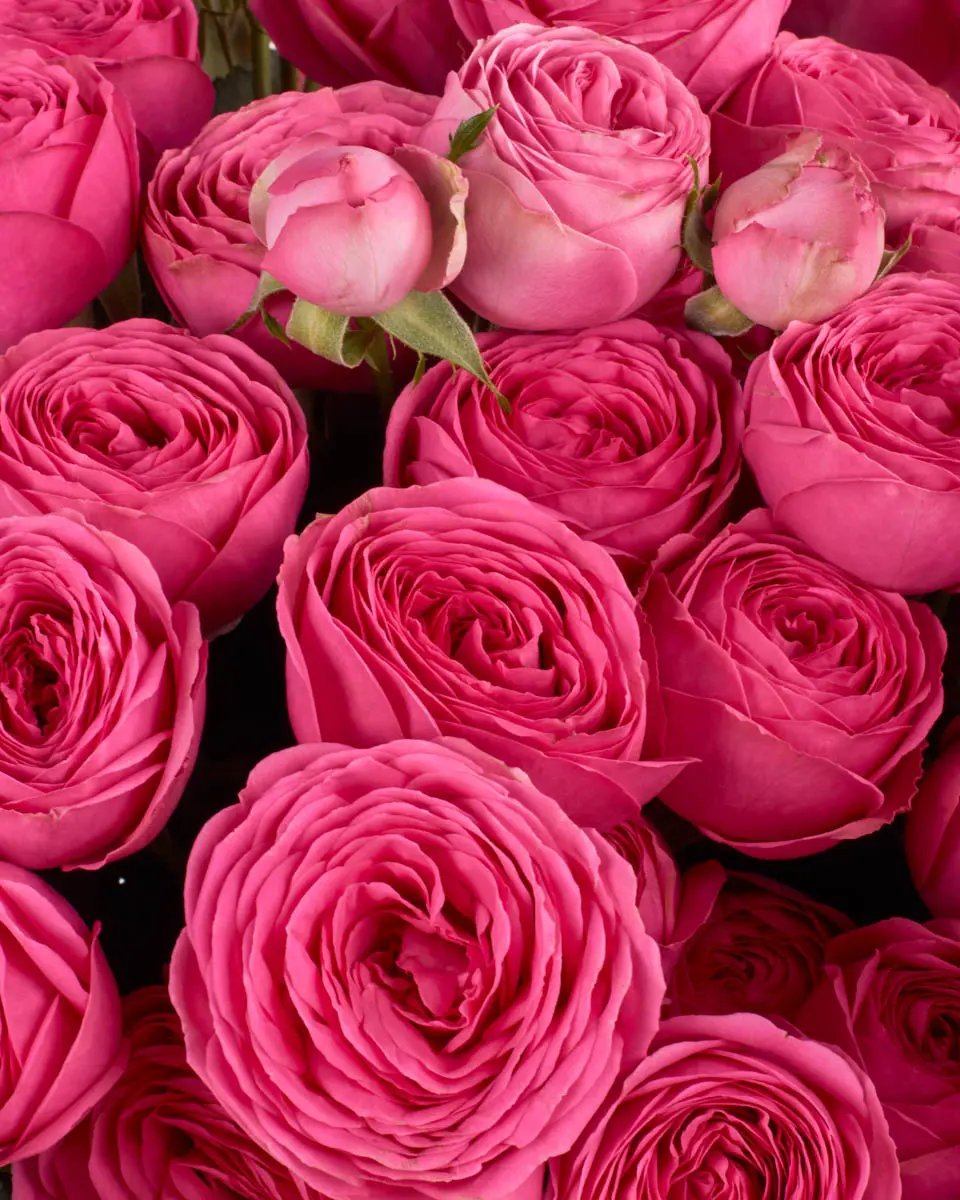 IM YOURS JUNE 2, 2025 2 IM YOURS JUNE 2, 2025 2