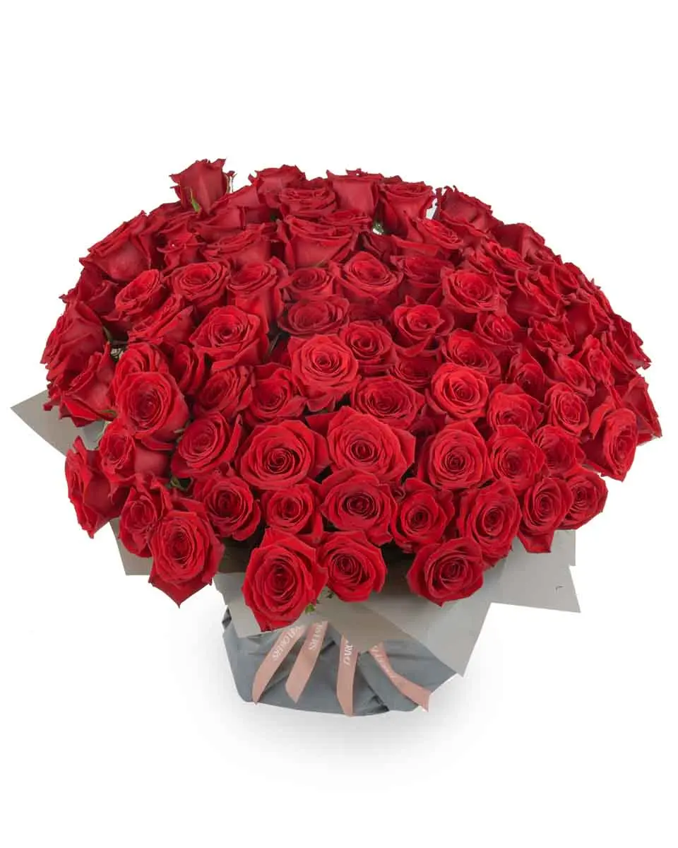 MONTE CARLO RED 101 ONE SIZE ONLY JUNE 8, 2025 2 MONTE CARLO RED 101 ONE SIZE ONLY JUNE 8, 2025 2