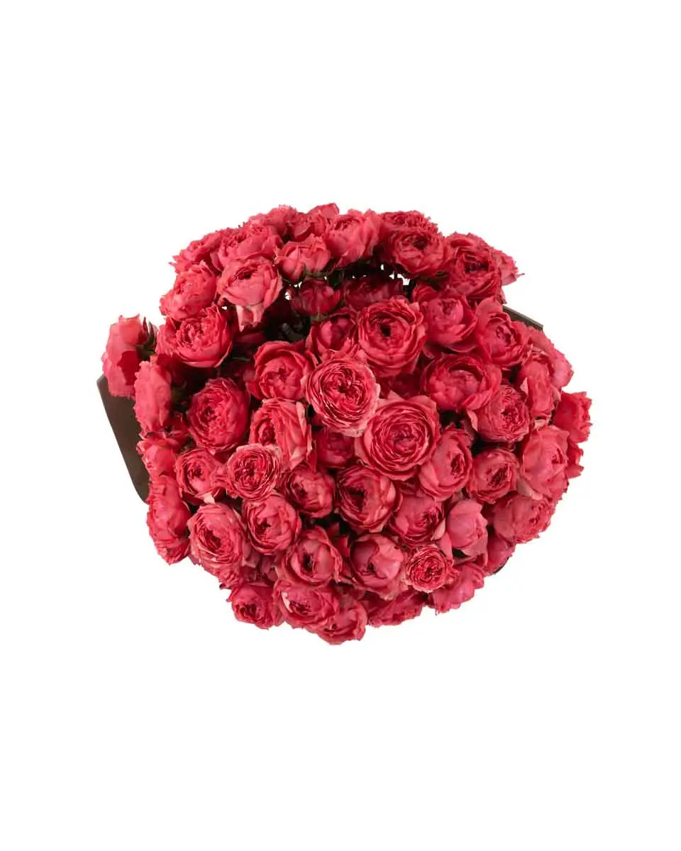 My Sweet Raspberry IMPRESSIVE JUNE 10, 2025 top My Sweet Raspberry IMPRESSIVE JUNE 10, 2025 top