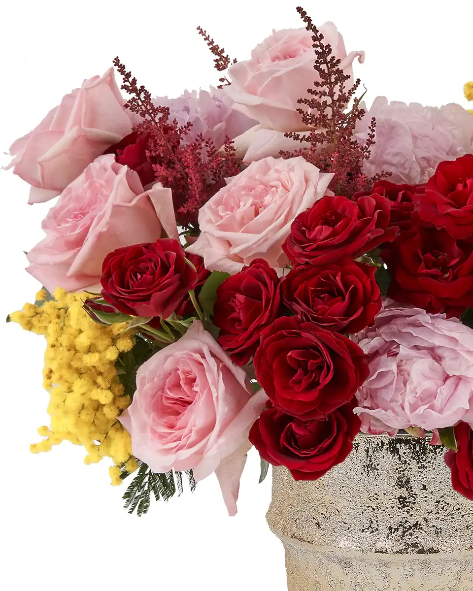 Touch Of Mimosa 16 Jan 2026 Edit Details Touch Of Mimosa 16 Jan 2026 Edit Details