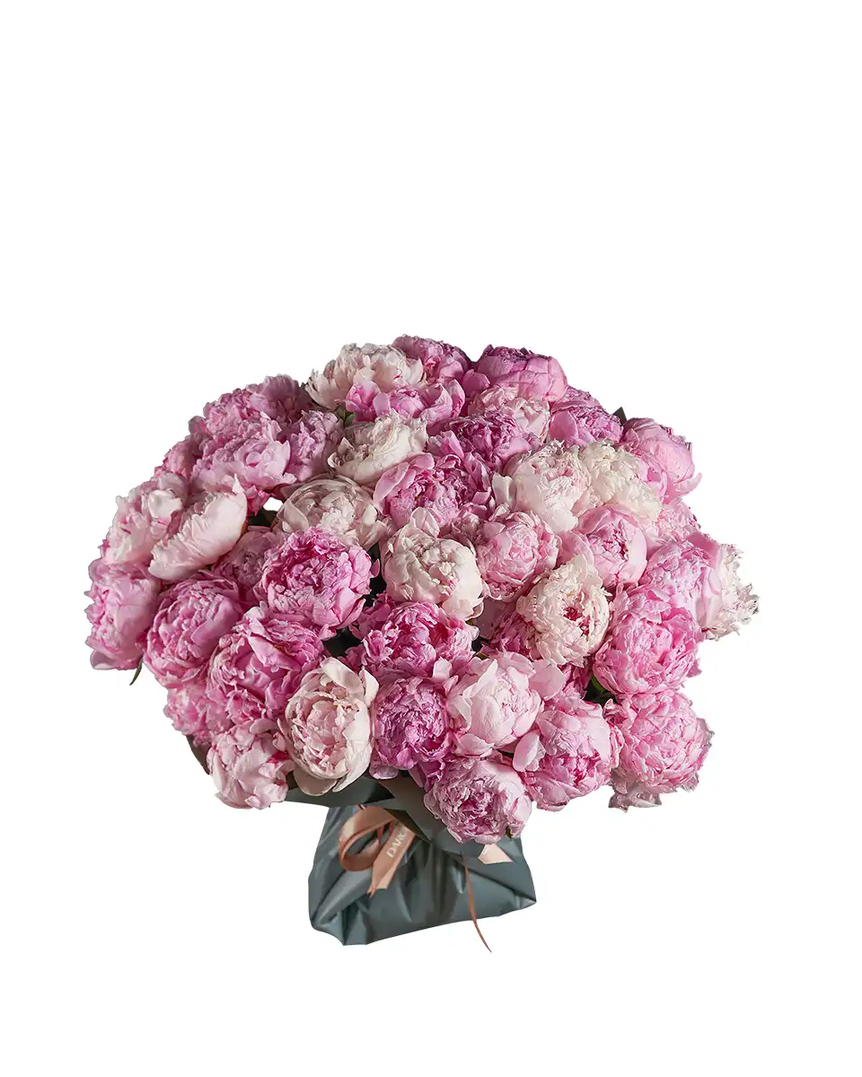 Blushing Pink Sarah Edited2 Blushing Pink Sarah Edited2