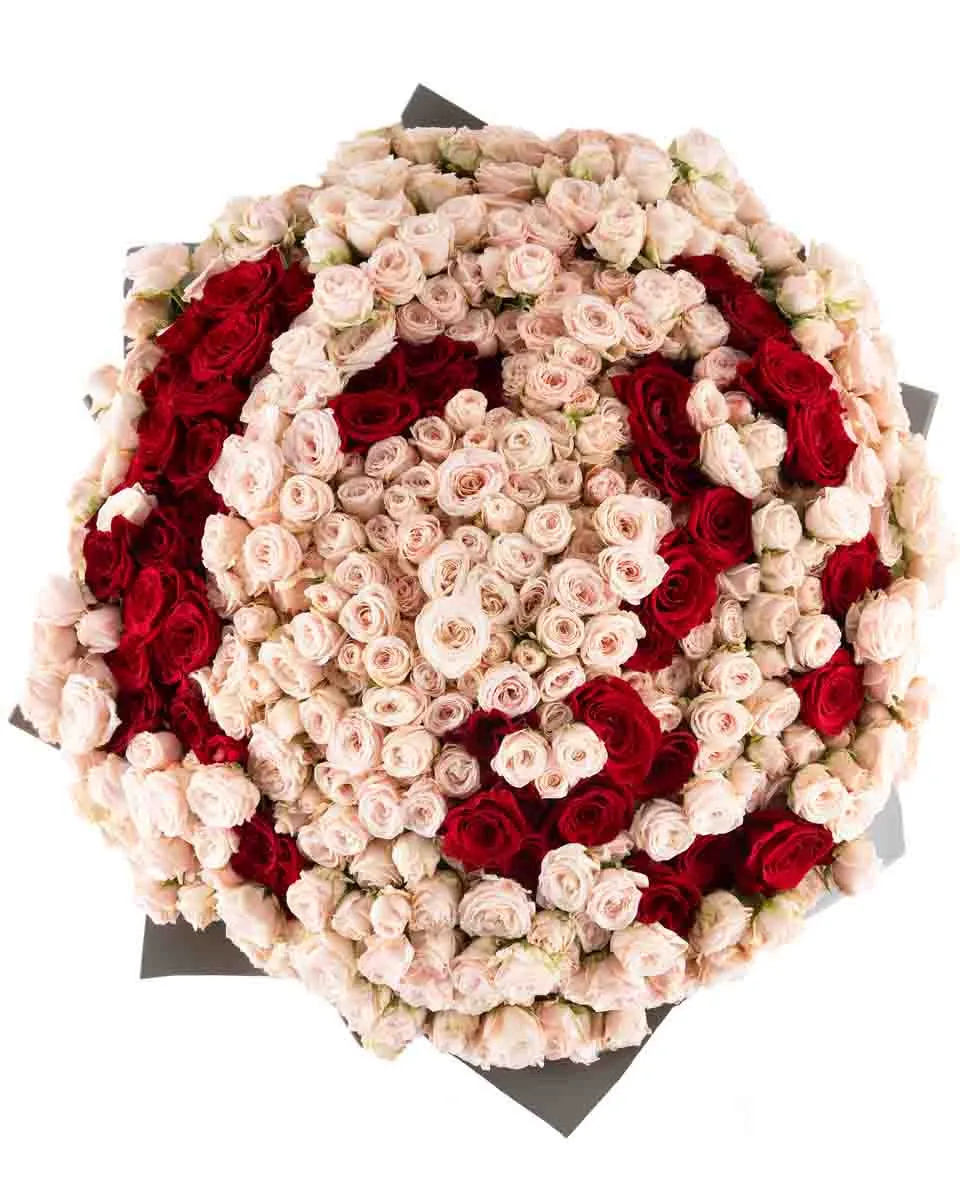 Mega Bombastic Red 29 OCt 2025 top Mega Bombastic Red 29 OCt 2025 top