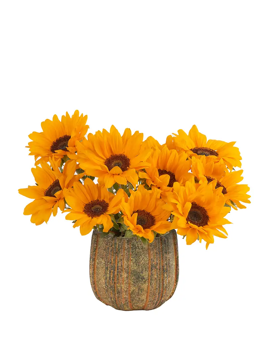 YOU'RE MY SUNSHINE Small Edited YOU'RE MY SUNSHINE Small Edited