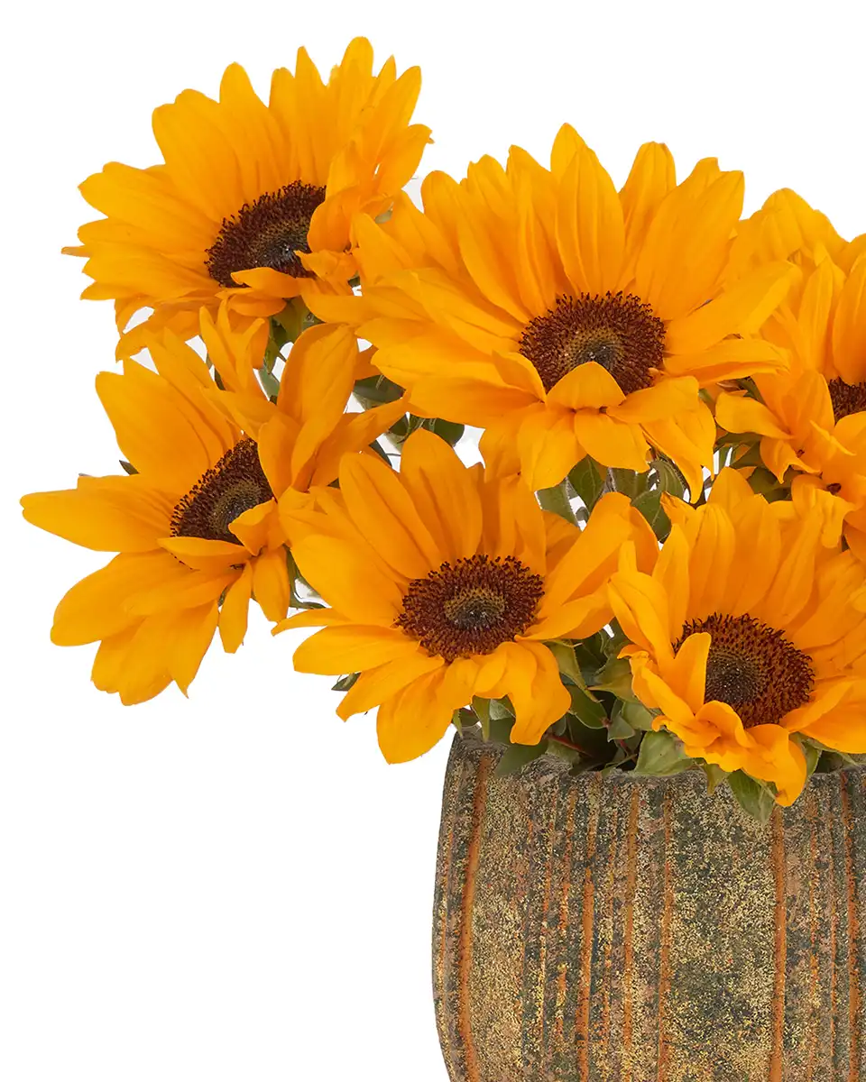 YOU'RE MY SUNSHINE Small Details.jpg2 Edited YOU'RE MY SUNSHINE Small Details.jpg2 Edited