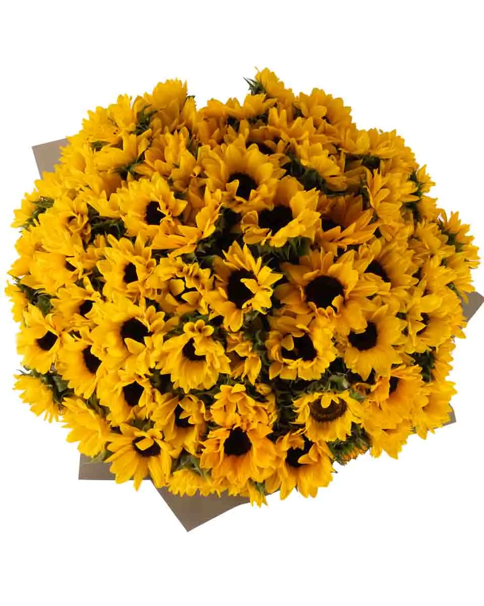Mega Sunflower ONE SIZE ONLY JUNE 14, 2023 top Mega Sunflower ONE SIZE ONLY JUNE 14, 2023 top