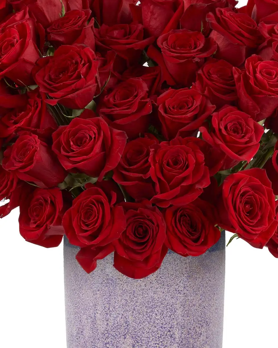 Roses For You EDITED5 Roses For You EDITED5