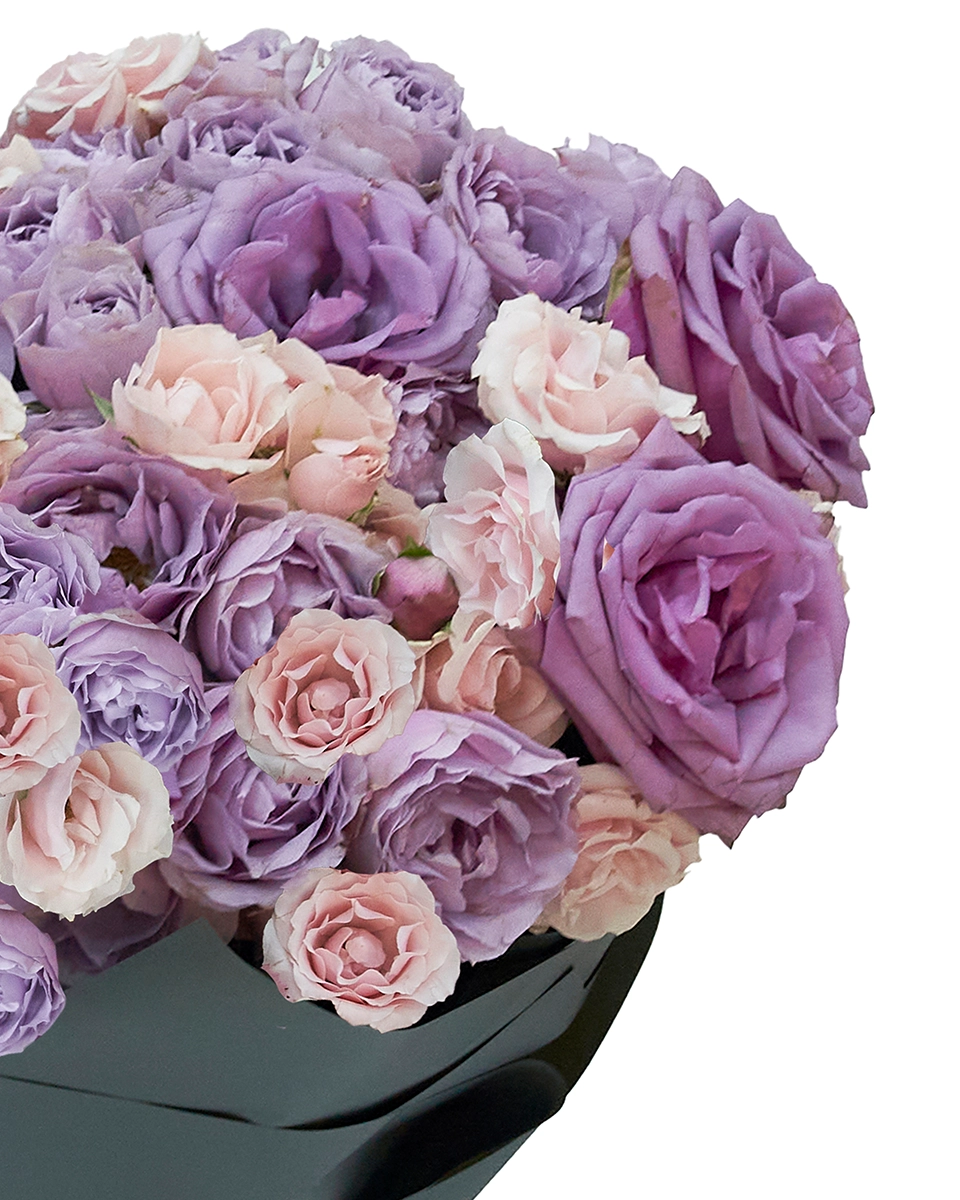Lavender Whisper impressive Details1 Lavender Whisper impressive Details1
