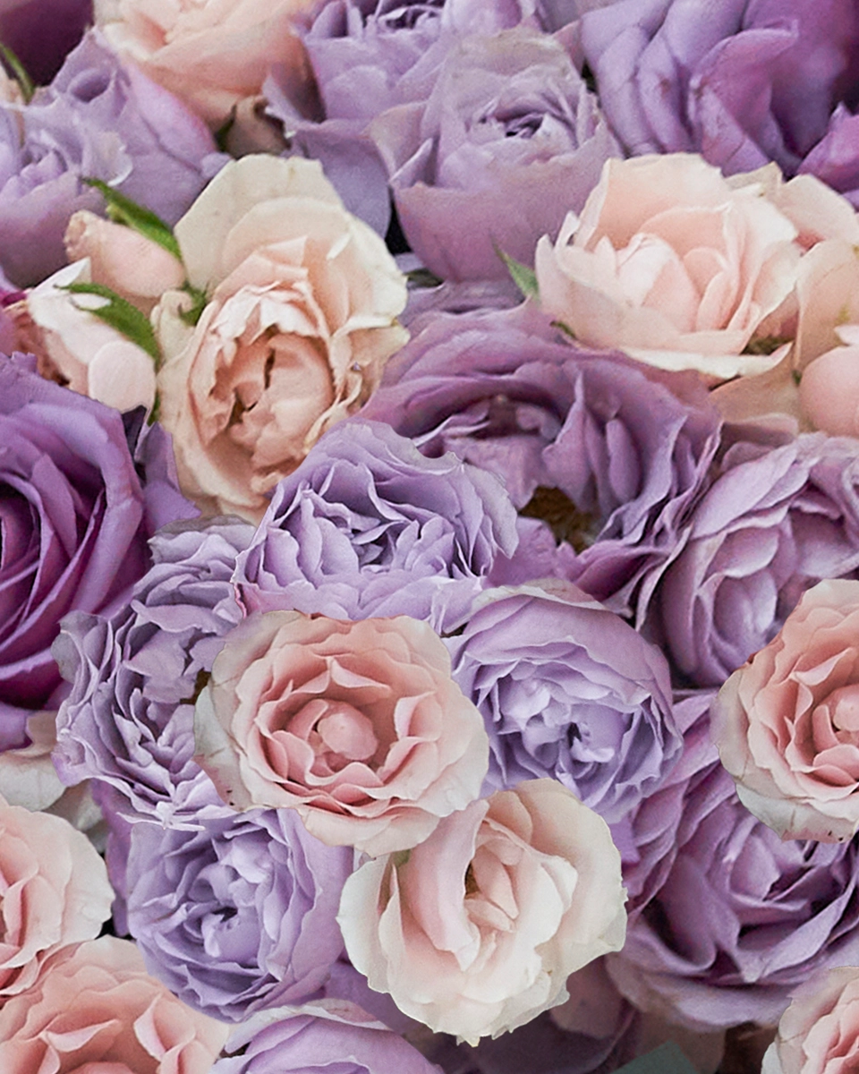 Lavender Whisper impressive Details2 Lavender Whisper impressive Details2