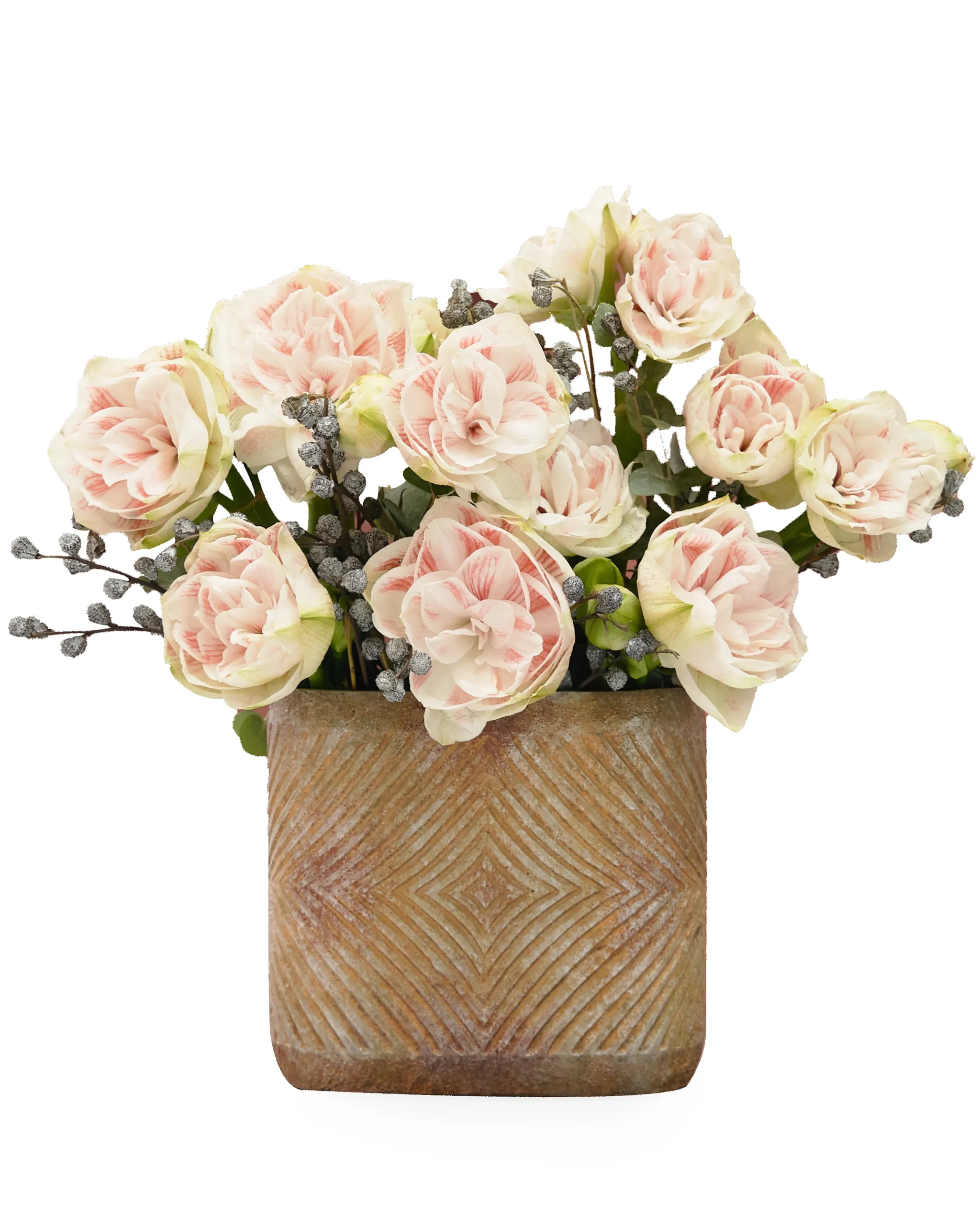 NYMPH AMARYLLIS scaled 1 NYMPH AMARYLLIS scaled 1